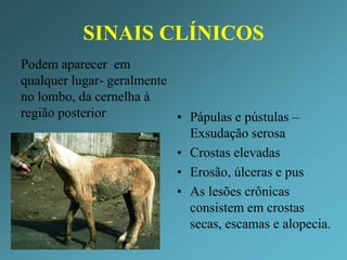 Diagnóstico diferencial