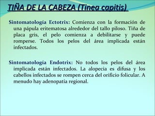 Endotrix Dermatofitosis | PPT
