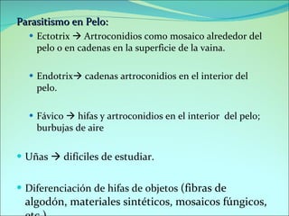 Endotrix Dermatofitosis | PPT