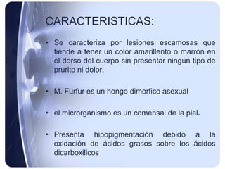 CARACTERISTICAS:
• Se caracteriza por lesiones escamosas que
  tiende a tener un color amarillento o marrón en
  el dorso del cuerpo sin presentar ningún tipo de
  prurito ni dolor.

• M. Furfur es un hongo dimorfico asexual

• el microrganismo es un comensal de la piel.

• Presenta hipopigmentación debido a la
  oxidación de ácidos grasos sobre los ácidos
  dicarboxilicos
 