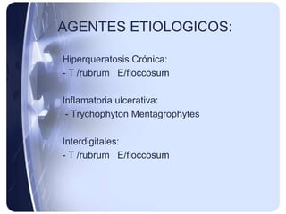 AGENTES ETIOLOGICOS:

Hiperqueratosis Crónica:
- T /rubrum E/floccosum

Inflamatoria ulcerativa:
 - Trychophyton Mentagrophytes

Interdigitales:
- T /rubrum E/floccosum
 