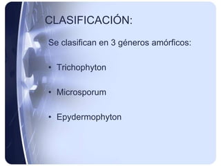 CLASIFICACIÓN:
Se clasifican en 3 géneros amórficos:

• Trichophyton

• Microsporum

• Epydermophyton
 