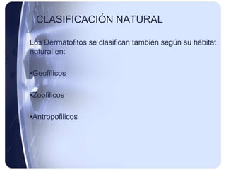 CLASIFICACIÓN NATURAL

Los Dermatofitos se clasifican también según su hábitat
natural en:

•Geofílicos

•Zoofilicos

•Antropofilicos
 