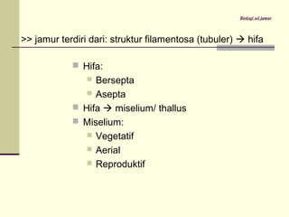 Biologi sel jamur
 Hifa:
 Bersepta
 Asepta
 Hifa  miselium/ thallus
 Miselium:
 Vegetatif
 Aerial
 Reproduktif
>> jamur terdiri dari: struktur filamentosa (tubuler)  hifa
 