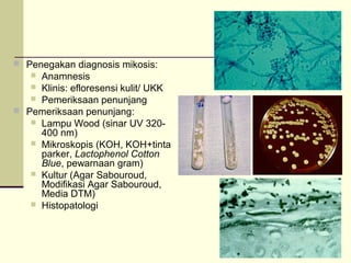  Penegakan diagnosis mikosis:
 Anamnesis
 Klinis: efloresensi kulit/ UKK
 Pemeriksaan penunjang
 Pemeriksaan penunjang:
 Lampu Wood (sinar UV 320-
400 nm)
 Mikroskopis (KOH, KOH+tinta
parker, Lactophenol Cotton
Blue, pewarnaan gram)
 Kultur (Agar Sabouroud,
Modifikasi Agar Sabouroud,
Media DTM)
 Histopatologi
 