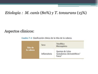 Etiologia : M. canis (80%) y T. tonsurans (15%)
Aspectos clinicos:
 