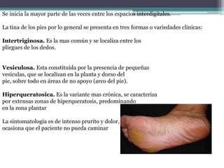 Se inicia la mayor parte de las veces entre los espacios interdigitales.
La tina de los pies por lo general se presenta en tres formas o variedades clinicas:
Intertriginosa. Es la mas común y se localiza entre los
pliegues de los dedos.
Vesiculosa. Esta constituida por la presencia de pequeñas
vesículas, que se localizan en la planta y dorso del
pie, sobre todo en áreas de no apoyo (arco del pie).
Hiperqueratosica. Es la variante mas crónica, se caracteriza
por extensas zonas de hiperqueratosis, predominando
en la zona plantar
La sintomatologia es de intenso prurito y dolor, lo que
ocasiona que el paciente no pueda caminar
 