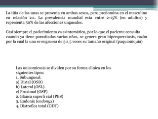 La tiña de las unas se presenta en ambos sexos, pero predomina en el masculino
en relación 2:1. La prevalencia mundial esta entre 2-15% (en adultos) y
representa 50% de las afecciones ungueales.
Casi siempre el padecimiento es asintomático, por lo que el paciente consulta
cuando ya tiene parasitadas varias uñas, se genera gran hiperqueratosis, razón
por la cual la una se engruesa de 3 a 5 veces su tamaño original (paquioniquia)
Las onicomicosis se dividen por su forma clinica en los
siguientes tipos:
1. Subungueal:
a) Distal (OSD)
b) Lateral (OSL)
c) Proximal (OSP)
2. Blanca superfi cial (PBS)
3. Endonix (endonyx)
4. Distrofica total (ODT)
 