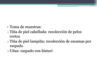 • Toma de muestras:
oTiña de piel cabelluda: recolección de pelos
cortos
oTiña de piel lampiña: recolección de escamas por
raspado
oUñas: raspado con bisturí
 