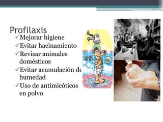Profilaxis
Mejorar higiene
Evitar hacinamiento
Revisar animales
domésticos
Evitar acumulación de
humedad
Uso de antimicóticos
en polvo
 