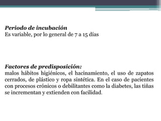 Periodo de incubación
Es variable, por lo general de 7 a 15 días
Factores de predisposición:
malos hábitos higiénicos, el hacinamiento, el uso de zapatos
cerrados, de plástico y ropa sintética. En el caso de pacientes
con procesos crónicos o debilitantes como la diabetes, las tiñas
se incrementan y extienden con facilidad.
 