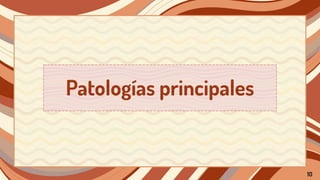 Patologías principales
10
 