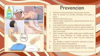 Prevencion
1. Evita tocar las áreas infectadas de piel de otras personas.
2. Evitar el contacto con animales infectados como gatos o
perros.
3. Mantener la piel limpia y seca.
4. Utilizar champú regularmente, especialmente después de un
corte de cabello.
5. Lavar regularmente la ropa que utilizas para hacer deporte.
6. Ducharse siempre después de practicar deporte porque los
dermatoﬁtos se depositan en la piel y proliferan con el sudor
(calor y humedad).
7. Evitar compartir ropas, toallas, cepillos para el cabello, peines,
gorros u otros elementos de cuidado personal. Estos
elementos se deben lavar y secar muy bien después de
usarlos.
8. Usar sandalias o zapatos en gimnasios, vestuarios y piscinas.
No andar descalzo en zonas públicas.
9. Evitar tocar mascotas que tengan parches sin pelo.
10. Lavarse las manos a menudo después de tocar animales
domésticos.
21
 
