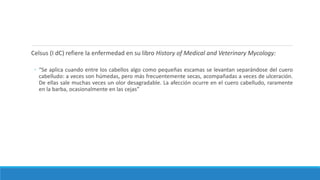 Celsus (I dC) refiere la enfermedad en su libro History of Medical and Veterinary Mycology:
◦ “Se aplica cuando entre los cabellos algo como pequeñas escamas se levantan separándose del cuero
cabelludo: a veces son húmedas, pero más frecuentemente secas, acompañadas a veces de ulceración.
De ellas sale muchas veces un olor desagradable. La afección ocurre en el cuero cabelludo, raramente
en la barba, ocasionalmente en las cejas”
 