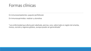 Formas clínicas
En inmunocompetentes: papular perifolicular
En inmunosuprimidos: nodular y ulcerativa
“una enfermedad que afecta piel cabelluda, piernas, cara, sobre todo en región de la barba,
manos, escroto y regiones glúteas, aunque puede ser generalizada”
 