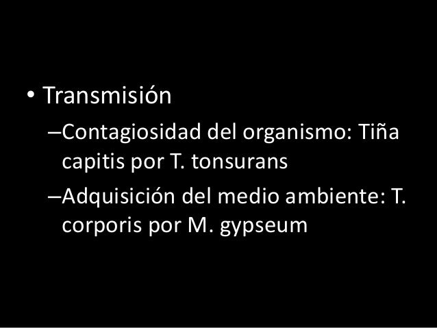 El sitio sobre el hongo de las uñas