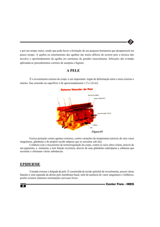 e por um tempo maior, sendo que pode haver a formação de um pequeno hematoma que desaparecerá em
pouco tempo. A quebra ou entortamento das agulhas são muito difíceis de ocorrer pois a técnica não
envolve o aprofundamento da agulha em estruturas de grandes musculaturas. Infecções são evitadas
aplicando-se procedimentos corretos de assepsia e higiene.

                                           A PELE

         É o revestimento externo do corpo, é um importante órgão de delimitação entre o meio externo e
interno. Sua extensão na superfície é de aproximadamente 1,5 a 2,0 m2.




                                                                   Figura 01

        Exerce proteção contra agentes externos, contra variações da temperatura (através de seus vasos
sanguíneos, glândulas e do próprio tecido adiposo que se encontra sob ela).
        Colabora com o mecanismo de termorregulação do corpo, contra os raios ultra violeta, através de
um pigmento, a melanina, e tem função excretora, através de suas glândulas sudoríparas e sebáceas que
secretam e eliminam várias substâncias.



EPIDERME
         Camada extensa e delgada da pele. É constituída de tecido epitelial de revestimento, possui várias
funções e está separada da derme pela membrana basal, nela há ausência de vasos sanguíneos e linfáticos,
porém existem inúmeras terminações nervosas livres.

                                                                                Center Fisio - IMES
  4
 