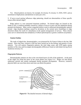 Dermatoglyphics    133


    Yes. Altered patterns are known, for example, for trisomy 18, trisomy 13, XXX, XXY, and an
assortment of duplications and deletions to name just a few.

9. If nerve-vessel pairing influences ridge patterning, should not abnormalities of these specific
tissues affect dermal ridges?

    Ridge aplasia is a rare autosomal dominant condition. No dermal ridges are formed on the
hands or feet, a condition probably caused by a failure of nerves to grow into the epithelium during
prenatal development. Many serious congenital defects result in abnormal dermatoglyphic patterns
termed ridge dysplasia (perhaps caused by deviations in the normal nerve branching) or ridge
distortion (likely the result of a disturbance in the spatial arrangements of nerves). These clinical
cases serve to demonstrate the multiplicity of effects (pleiotropism) a genetic condition can produce.


   Student Outline

    The study of ridged skin, dermatoglyphics, was pioneered by Sir Francis Galton in the late 19th
century. Since that time, extensive work has been carried out on the biology and genetics of skin
patterns. You will analyze fingerprint patterns, the total ridge count, and ATD angles among
members of the class and investigate dermatoglyphic differences found on individuals having Down
Syndrome (trisomy 21).


Fingerprint Patterns

    Dermatoglyphic patterns are due to the convoluted layers of cells of the epidermis. At the peak
of the ridges are found the pores of the sweat glands (see Figure 8.1). Ridges are laid during
embryonic growth and remain unchanged during postnatal development. However, extensive
physical labor can wear them down and scars can distort the pattern.




                  Figure 8.1 The detailed structure of dermal ridges.
 