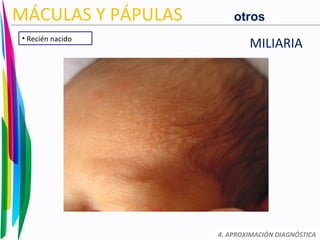 4. APROXIMACIÓN DIAGNÓSTICA
MÁCULAS Y PÁPULAS
• Recién nacido
MILIARIA
otros
 