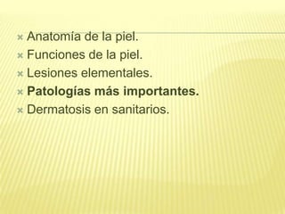 Anatomía de la piel.Funciones de la piel.Lesiones elementales.Patologías más importantes.Dermatosis en sanitarios.