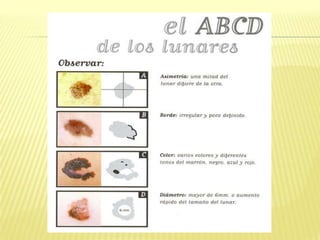Dermatologia