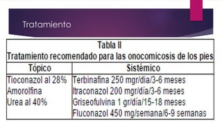 Tratamiento 
 