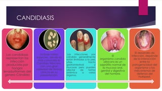 CANDIDIASIS 
Las candidiasis 
representan las 
infección 
producida por 
hongos 
levaduriformes del 
genero Cándida 
Incluye varias 
especies, siendo la 
más conocida la 
Candida Albicans, 
con una gran 
variedad de formas 
clínicas en su 
presentación. 
Las infecciones por 
cándida generalmente 
están limitadas a la piel, 
uñas, tracto 
gastrointestinal y 
mucosas pero pueden 
afectar de forma 
sistémica a varios 
órganos. 
El 
organismo candida 
albicans es un 
saprófito normal de 
la mucosa oral, 
genital y digestiva 
del hombre. 
El desarrollo de 
infección, depende 
de la interacción 
entre la 
patogenicidad del 
organismo y los 
mecanismos de 
defensa del 
huésped. 
 
