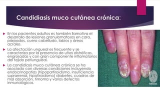 Candidiasis muco cutánea crónica: 
 En los pacientes adultos es también llamativa el 
desarrollo de lesiones granulomatosas en cara, 
párpados, cuero cabelludo, labios y áreas 
acrales. 
 La afectación ungueal es frecuente y se 
caracteriza por la presencia de uñas distróficas, 
engrosadas y con gran componente inflamatorios 
del tejido periungueal. 
 La candidiasis muco cutánea crónica se ha 
asociado con diversas condiciones incluyendo 
endocrinopatias (hipopartiroidismo, insuficiencia 
suprarrenal, hipotiroidismo) diabetes, cuadros de 
mal absorción, timoma y varios defectos 
inmunológicos. 
 
