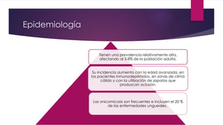 Epidemiología 
Tienen una prevalencia relativamente alta, 
afectando al 3-8% de la población adulta. 
Su incidencia aumenta con la edad avanzada, en 
los pacientes inmunodeprimidos, en zonas de clima 
cálido y con la utilización de zapatos que 
produzcan oclusión. 
Las onicomicosis son frecuentes e incluyen el 20 % 
de las enfermedades ungueales. 
 