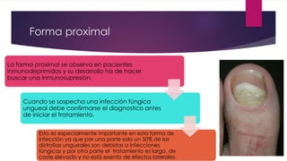 Forma proximal 
La forma proximal se observa en pacientes 
inmunodeprimidos y su desarrollo ha de hacer 
buscar una inmunosupresión. 
Cuando se sospecha una infección fúngica 
ungueal debe confirmarse el diagnostico antes 
de iniciar el tratamiento. 
Esto es especialmente importante en esta forma de 
infección ya que por una parte solo un 50% de las 
distrofias ungueales son debidas a infecciones 
fúngicas y por otra parte el tratamiento es largo, de 
coste elevado y no está exento de efectos laterales. 
 