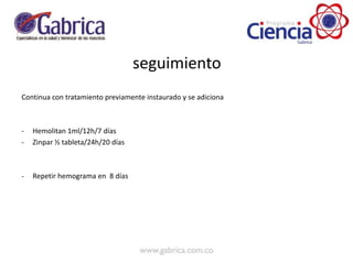 seguimiento
Continua con tratamiento previamente instaurado y se adiciona
- Hemolitan 1ml/12h/7 días
- Zinpar ½ tableta/24h/20 días
- Repetir hemograma en 8 días
 