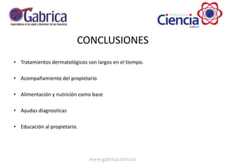 CONCLUSIONES
• Tratamientos dermatológicos son largos en el tiempo.
• Acompañamiento del propietario
• Alimentación y nutrición como base
• Ayudas diagnosticas
• Educación al propietario.
 