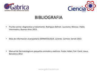 BIBLIOGRAFIA
• Prurito canino: diagnostico y tratamiento. Rodriguez Beltran. Laureano; Manzuc. Pablo;
Intermedica, Buenos Aires 2013.
• Atlas de información al propietario DERMATOLOGIA. Lorente. Carmen; Servet 2013
• Manual de Dermatología en pequeños animales y exóticos. Foster. Aiden; Foil. Carol; Lexus,
Barcelona 2012
 