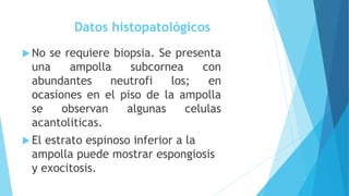 Datos histopatológicos
 No se requiere biopsia. Se presenta
una ampolla subcornea con
abundantes neutrofi los; en
ocasiones en el piso de la ampolla
se observan algunas celulas
acantoliticas.
 El estrato espinoso inferior a la
ampolla puede mostrar espongiosis
y exocitosis.
 