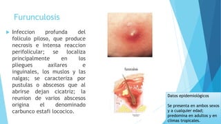 Furunculosis
 Infeccion profunda del
foliculo piloso, que produce
necrosis e intensa reaccion
perifolicular; se localiza
principalmente en los
pliegues axilares e
inguinales, los muslos y las
nalgas; se caracteriza por
pustulas o abscesos que al
abrirse dejan cicatriz; la
reunion de varios abscesos
origina el denominado
carbunco estafi lococico.
Datos epidemiológicos
Se presenta en ambos sexos
y a cualquier edad;
predomina en adultos y en
climas tropicales.
 
