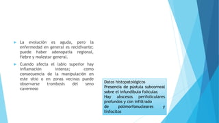  La evolución es aguda, pero la
enfermedad en general es recidivante;
puede haber adenopatía regional,
fiebre y malestar general.
 Cuando afecta el labio superior hay
inflamación intensa; como
consecuencia de la manipulación en
este sitio o en zonas vecinas puede
observarse trombosis del seno
cavernoso
Datos histopatológicos
Presencia de pústula subcorneal
sobre el infundíbulo folicular.
Hay abscesos perifoliculares
profundos y con infiltrado
de polimorfonucleares y
linfocitos
 