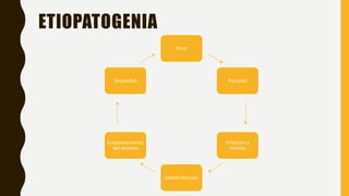 ETIOPATOGENIA
Picor
Rascado
Irritación y
heridas
Sobreinfección
Empeoramiento
del eccema
Sequedad
 