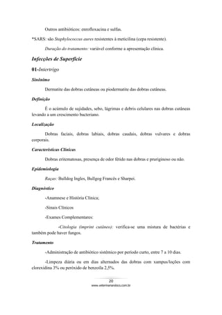 20
www.veterinariandocs.com.br
Outros antibióticos: enrofloxacina e sulfas.
*SARS: são Staphylococcus aures resistentes à meticilina (cepa resistente).
Duração do tratamento: variável conforme a apresentação clínica.
Infecções de Superfície
01-Intertrigo
Sinônimo
Dermatite das dobras cutâneas ou piodermatite das dobras cutâneas.
Definição
É o acúmulo de sujidades, sebo, lágrimas e debris celulares nas dobras cutâneas
levando a um crescimento bacteriano.
Localização
Dobras faciais, dobras labiais, dobras caudais, dobras vulvares e dobras
corporais.
Características Clínicas
Dobras eritematosas, presença de odor fétido nas dobras e pruriginoso ou não.
Epidemiologia
Raças: Bulldog Ingles, Bullgog Francês e Sharpei.
Diagnóstico
-Anamnese e História Clínica;
-Sinais Clínicos
-Exames Complementares:
-Citologia (imprint cutâneo): verifica-se uma mistura de bactérias e
também pode haver fungos.
Tratamento
-Administração de antibiótico sistêmico por período curto, entre 7 a 10 dias.
-Limpeza diária ou em dias alternados das dobras com xampus/loções com
clorexidina 3% ou peróxido de benzoíla 2,5%.
 
