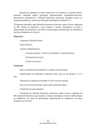 26
www.veterinariandocs.com.br
Infecções de repetição ou lesões mistas deve-se considerar os seguintes fatores
primários: dermatite atópica (principal), hipotireoidismo, hiperadrenocorticismo,
demodiciose, leishmaniose e foliculite bacteriana recidivante idiopática (ocorre ao
suspender antibióticos, sendo uma disfunção imunológica de linfócitos T).
*Tratamento alternativo para foliculite bacteriana recidivante: pode-se fazer a aplicação
de SPL (lisado de bactérias) o qual modula o sistema imunológico ou fazer a
administração de antibióticos em forma de pulsoterapia (administração de antibióticos
em baixa frequência ad eternum).
Diagnóstico
-Anamnese e História Clínica;
-Sinais Clínicos;
-Exames Complementares:
-Citologia (pustula): verifica-se neutrófilos e cocos bacterianos.
-Histopatologia de pele;
-Cultura bacteriana;
Tratamento
-Deve-se primeiramente identificar e corrigir a causa primária.
-Administração de antibióticos sistêmicos duas vezes ao dia durante 15 a 21
dias.
-Aplicação de xampu de clorexidine 3% três vezes por semana.
-Em casos de lesões discretas, opta-se pelo tratamento tópico;
-Tratamento da causa primária;
-Tratamento da foliculite bacteriana recidivante: pode-se fazer a aplicação de
SPL (lisado de bactérias) o qual modula o sistema imunológico ou fazer a administração
de antibióticos em forma de pulsoterapia (administração de antibióticos em baixa
frequência ad eternum).
 