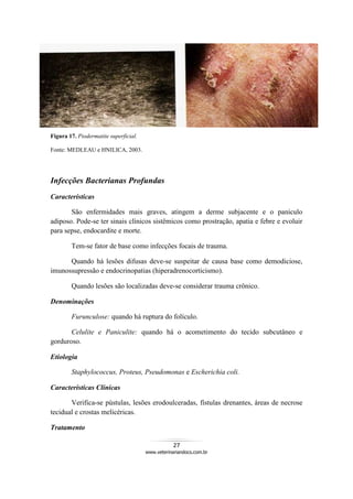 27
www.veterinariandocs.com.br
Figura 17. Piodermatite superficial.
Fonte: MEDLEAU e HNILICA, 2003.
Infecções Bacterianas Profundas
Características
São enfermidades mais graves, atingem a derme subjacente e o panículo
adiposo. Pode-se ter sinais clínicos sistêmicos como prostração, apatia e febre e evoluir
para sepse, endocardite e morte.
Tem-se fator de base como infecções focais de trauma.
Quando há lesões difusas deve-se suspeitar de causa base como demodiciose,
imunossupressão e endocrinopatias (hiperadrenocorticismo).
Quando lesões são localizadas deve-se considerar trauma crônico.
Denominações
Furunculose: quando há ruptura do folículo.
Celulite e Paniculite: quando há o acometimento do tecido subcutâneo e
gorduroso.
Etiologia
Staphylococcus, Proteus, Pseudomonas e Escherichia coli.
Características Clínicas
Verifica-se pústulas, lesões erodoulceradas, fístulas drenantes, áreas de necrose
tecidual e crostas melicéricas.
Tratamento
 