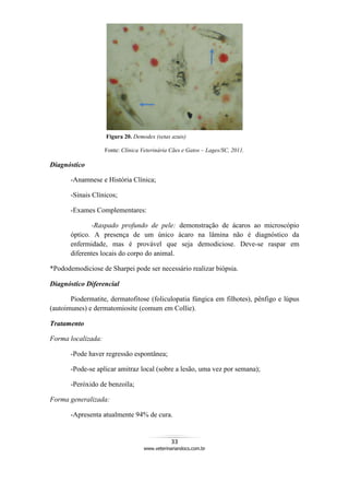 33
www.veterinariandocs.com.br
Figura 20. Demodex (setas azuis)
Fonte: Clínica Veterinária Cães e Gatos – Lages/SC, 2011.
Diagnóstico
-Anamnese e História Clínica;
-Sinais Clínicos;
-Exames Complementares:
-Raspado profundo de pele: demonstração de ácaros ao microscópio
óptico. A presença de um único ácaro na lâmina não é diagnóstico da
enfermidade, mas é provável que seja demodiciose. Deve-se raspar em
diferentes locais do corpo do animal.
*Pododemodiciose de Sharpei pode ser necessário realizar biópsia.
Diagnóstico Diferencial
Piodermatite, dermatofitose (foliculopatia fúngica em filhotes), pênfigo e lúpus
(autoimunes) e dermatomiosite (comum em Collie).
Tratamento
Forma localizada:
-Pode haver regressão espontânea;
-Pode-se aplicar amitraz local (sobre a lesão, uma vez por semana);
-Peróxido de benzoíla;
Forma generalizada:
-Apresenta atualmente 94% de cura.
 