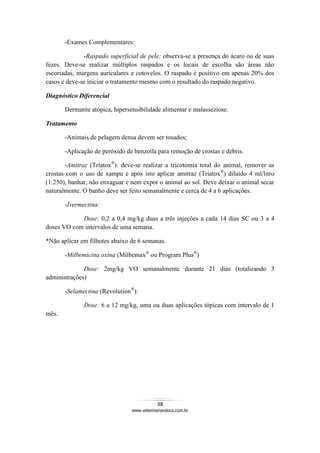38
www.veterinariandocs.com.br
-Exames Complementares:
-Raspado superficial de pele: observa-se a presença do ácaro ou de suas
fezes. Deve-se realizar múltiplos raspados e os locais de escolha são áreas não
escoriadas, margens auriculares e cotovelos. O raspado é positivo em apenas 20% dos
casos e deve-se iniciar o tratamento mesmo com o resultado do raspado negativo.
Diagnóstico Diferencial
Dermatite atópica, hipersensibilidade alimentar e malasseziose.
Tratamento
-Animais de pelagem densa devem ser tosados;
-Aplicação de peróxido de benzoíla para remoção de crostas e debris.
-Amitraz (Triatox®
): deve-se realizar a tricotomia total do animal, remover as
crostas com o uso de xampu e após isto aplicar amitraz (Triatox®
) diluído 4 ml/litro
(1:250), banhar, não enxaguar e nem expor o animal ao sol. Deve deixar o animal secar
naturalmente. O banho deve ser feito semanalmente e cerca de 4 a 6 aplicações.
-Ivermectina:
Dose: 0,2 a 0,4 mg/kg duas a três injeções a cada 14 dias SC ou 3 a 4
doses VO com intervalos de uma semana.
*Não aplicar em filhotes abaixo de 6 semanas.
-Milbemicina oxina (Milbemax®
ou Program Plus®
)
Dose: 2mg/kg VO semanalmente durante 21 dias (totalizando 3
administrações)
-Selamectina (Revolution®
):
Dose: 6 a 12 mg/kg, uma ou duas aplicações tópicas com intervalo de 1
mês.
 