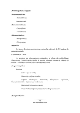 40
www.veterinariandocs.com.br
Dermatopatias Fúngicas
Micoses superficiais
-Dermatofitoses;
-Malassezioses;
Micoses subcutâneas:
-Esporotricose;
-Feoifomicose;
Micoses sistêmicas:
-Histoplasmose;
-Criptococose;
Introdução
Os fungos são microrganismos onipresentes, havendo mais de 300 espécies de
patógenos animais.
Características Gerais
As leveduras são microrganismos unicelulares e bolores são multicelulares
filamentosos. Possuem parede celular de quitina, quitosano, manano e glicanos. O
conídio é a unidade responsável pela reprodução assexuada.
Fungos patogênicos
Critérios:
-Fonte e tipo de coleta;
-Número de colônias isoladas;
-Espécie: Blastomyces dermatitidis, Histoplasma capsulatum,
Coccidiosis immitis e Cryptococcus neoformans;
-Necessita de isolamento repetido;
-Necessita haver a presença de elementos fúngicos teciduais;
Microflora Normal
 