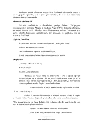 43
www.veterinariandocs.com.br
Verifica-se prurido mínimo ou ausente, áreas de alopecia circunscrita, crostas e
caspas, pápulas e pústulas, quérion (lesão granulomatosa). Os locais mais acometidos
são patas, face, orelhas e cauda.
Diagnóstico Diferencial
Foliculite estafilocócica e demodiciose, pênfigo foliáceo (Tricophyton
mentagrophytes), dermatite Alérgica à Picada da Pulga (DAPP). dermatite seborreica,
dermatose pustular estéril, foliculites eosinofílicas estéreis, quérion (granulomas por
corpo estranho, bacterianos, dermatite acral por lambedura ou neoplasias, pois há
formação de nódulo).
Aspectos Zoonóticos
-Representam 30% dos casos de microsporoses (Microspora canis);
A maioria é adquirida de felinos;
-50% dos humanos expostos adquirem infecção;
-Locais comumente afetados: braço, couro cabeludo e tronco;
Diagnóstico
-Anamnese e História Clínica;
-Sinais Clínicos;
-Exames Complementares:
-Lâmpada de Wood: emite luz ultravioleta e deve-se deixar aquecer
previamente por 5 a 10 minutos. Para Microspora canis deve-se deixar por 3 a 5
minutos, sendo emitida fluorescência em 30 a 80% dos isolados, a fluorescência
é causada pelo metabólito fúngico contendo triptofano.
-Falsos-positivos: ocorrem com bactérias e alguns medicamentos;
*É um exame de triagem;
-Coleta de amostra: deve-se pegar as margens lesionais, coletar as caspas
e evitar as crostas. Coletar o fragmento proximal da unha com o animal sob anestesia.
*Não colocar amostra em frasco fechado, pois os fungos não são anaeróbios (deve-se
deixar abertura no recipiente de coleta);
-Animal não pode ter sido medicado recentemente;
-Usar álcool 70% para minimizar fungos contaminantes;
 