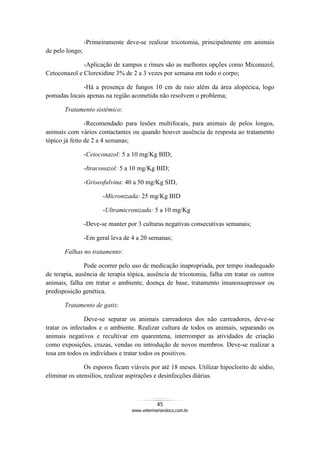 45
www.veterinariandocs.com.br
-Primeiramente deve-se realizar tricotomia, principalmente em animais
de pelo longo;
-Aplicação de xampus e rinses são as melhores opções como Miconazol,
Cetoconazol e Clorexidine 3% de 2 a 3 vezes por semana em todo o corpo;
-Há a presença de fungos 10 cm de raio além da área alopécica, logo
pomadas locais apenas na região acometida não resolvem o problema;
Tratamento sistêmico:
-Recomendado para lesões multifocais, para animais de pelos longos,
animais com vários contactantes ou quando houver ausência de resposta ao tratamento
tópico já feito de 2 a 4 semanas;
-Cetoconazol: 5 a 10 mg/Kg BID;
-Itraconazol: 5 a 10 mg/Kg BID;
-Griseofulvina: 40 a 50 mg/Kg SID,
-Micronizada: 25 mg/Kg BID
-Ultramicronizada: 5 a 10 mg/Kg
-Deve-se manter por 3 culturas negativas consecutivas semanais;
-Em geral leva de 4 a 20 semanas;
Falhas no tratamento:
Pode ocorrer pelo uso de medicação inapropriada, por tempo inadequado
de terapia, ausência de terapia tópica, ausência de tricotomia, falha em tratar os outros
animais, falha em tratar o ambiente, doença de base, tratamento imunossupressor ou
predisposição genética.
Tratamento de gatis:
Deve-se separar os animais carreadores dos não carreadores, deve-se
tratar os infectados e o ambiente. Realizar cultura de todos os animais, separando os
animais negativos e recultivar em quarentena, interromper as atividades de criação
como exposições, cruzas, vendas ou introdução de novos membros. Deve-se realizar a
tosa em todos os indivíduos e tratar todos os positivos.
Os esporos ficam viáveis por até 18 meses. Utilizar hipoclorito de sódio,
eliminar os utensílios, realizar aspirações e desinfecções diárias.
 