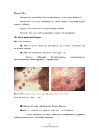 5
www.veterinariandocs.com.br
Exame Físico
Pré-requisito: sala com boa iluminação e observar primeiramente à distância.
Observação a distância: distribuição das lesões, simetria e qualidade do pelo
(opaco ou brilhante).
Inspeção dos diversos locais: como interdígito e ventre.
Palpação: pele seca ou oleosa, epilação e cuidado com áreas peludas.
Morfologia das Lesões Cutâneas
01-Lesões primárias
01.1-Máculas: ponto circunscrito com alteração de coloração, não palpável de
até 1 cm de diâmetro.
01.2-Mancha: semelhante à mácula mas maior que 1 cm.
Causas: inflamação, hiperpigmentação, hipopigmentação,
extravasamento de hemácias (púrpura) e hiperemia ativa.
Figura 1. Máculas (setas azuis) e manchas por hiperpigmentação (seta vermelha).
Fonte: WILKINSON e HARVEY, 1997.
01.3-Pápula: elevação cutânea com até 1 cm de diâmetro.
01.4-Placa: coalescência de pápulas e maior que 1 cm de diâmetro.
Causas: inflamação na derme, edema intra e subepidérmico, hipertrofia
epidérmica (escabiose e enfermidades alérgicas).
 