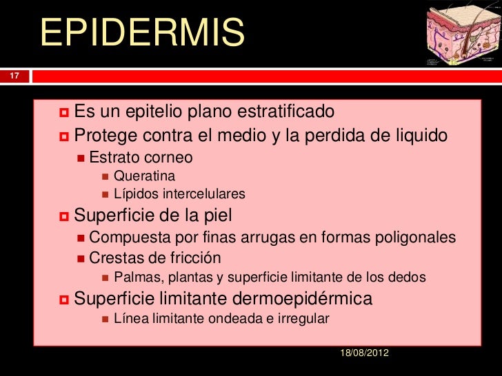 La máscara para los cabellos de la mostaza regular