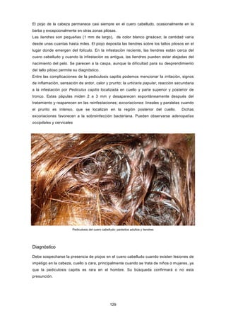 El piojo de la cabeza permanece casi siempre en el cuero cabelludo, ocasionalmente en la
barba y excepcionalmente en otras zonas pilosas.
Las liendres son pequeñas (1 mm de largo), de color blanco grisáceo; la cantidad varía
desde unas cuantas hasta miles. El piojo deposita las liendres sobre los tallos pilosos en el
lugar donde emergen del folículo. En la infestación reciente, las liendres están cerca del
cuero cabelludo y cuando la infestación es antigua, las liendres pueden estar alejadas del
nacimiento del pelo. Se parecen a la caspa, aunque la dificultad para su desprendimiento
del tallo piloso permite su diagnóstico.
Entre las complicaciones de la pediculosis capitis podemos mencionar la irritación, signos
de inflamación, sensación de ardor, calor y prurito; la urticaria papular, reacción secundaria
a la infestación por Pediculus capitis localizada en cuello y parte superior y posterior de
tronco. Estas pápulas miden 2 a 3 mm y desaparecen espontáneamente después del
tratamiento y reaparecen en las reinfestaciones; excoriaciones: lineales y paralelas cuando
el prurito es intenso, que se localizan en la región posterior del cuello. Dichas
excoriaciones favorecen a la sobreinfección bacteriana. Pueden observarse adenopatías
occipitales y cervicales
Pediculosis del cuero cabelludo: parásitos adultos y liendres
Diagnóstico
Debe sospecharse la presencia de piojos en el cuero cabelludo cuando existen lesiones de
impétigo en la cabeza, cuello o cara, principalmente cuando se trata de niños o mujeres, ya
que la pediculosis capitis es rara en el hombre. Su búsqueda confirmará o no esta
presunción.
129
 