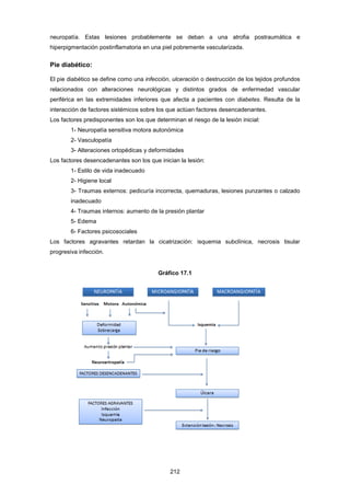 neuropatía. Estas lesiones probablemente se deban a una atrofia postraumática e
hiperpigmentación postinflamatoria en una piel pobremente vascularizada.
Pie diabético:
El pie diabético se define como una infección, ulceración o destrucción de los tejidos profundos
relacionados con alteraciones neurológicas y distintos grados de enfermedad vascular
periférica en las extremidades inferiores que afecta a pacientes con diabetes. Resulta de la
interacción de factores sistémicos sobre los que actúan factores desencadenantes.
Los factores predisponentes son los que determinan el riesgo de la lesión inicial:
1- Neuropatía sensitiva motora autonómica
2- Vasculopatía
3- Alteraciones ortopédicas y deformidades
Los factores desencadenantes son los que inician la lesión:
1- Estilo de vida inadecuado
2- Higiene local
3- Traumas externos: pedicuría incorrecta, quemaduras, lesiones punzantes o calzado
inadecuado
4- Traumas internos: aumento de la presión plantar
5- Edema
6- Factores psicosociales
Los factores agravantes retardan la cicatrización: isquemia subclínica, necrosis tisular
progresiva infección.
Gráfico 17.1
212
 
