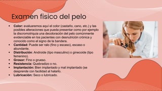 dermatologia generalidades.pptx
